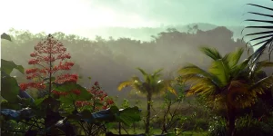 Faire de la randonnée à Cayenne Guyane - Nous Randonnons